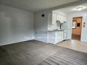 210 S Maple St in Akron, OH - Building Photo - Building Photo