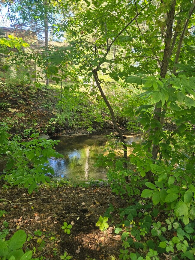 property at 4251 Mitchell Creek Dr