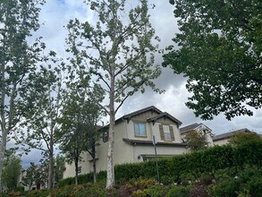 24098 Stone Creek Dr in Santa Clarita, CA - Building Photo - Building Photo