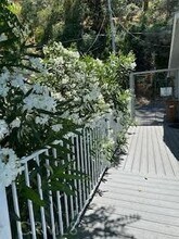 12012 Baylis Cove Rd in Lower Lake, CA - Building Photo - Building Photo