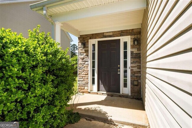 11151 Aliyah Dr in Hampton, GA - Building Photo - Building Photo