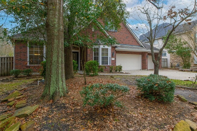 58 S Plum Crest Cir in Spring, TX - Building Photo - Building Photo