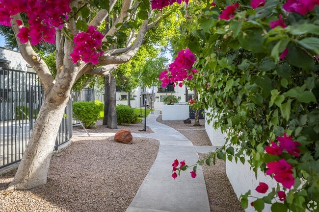 Fireside East Apartments in Scottsdale, AZ - Building Photo - Building Photo