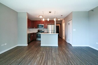 369 E Ohio St in Chicago, IL - Building Photo - Building Photo