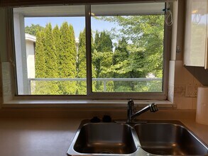 3238 Quebec St in Vancouver, BC - Building Photo - Building Photo