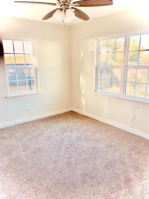 1214 Des Jardines St in Houston, TX - Building Photo - Building Photo