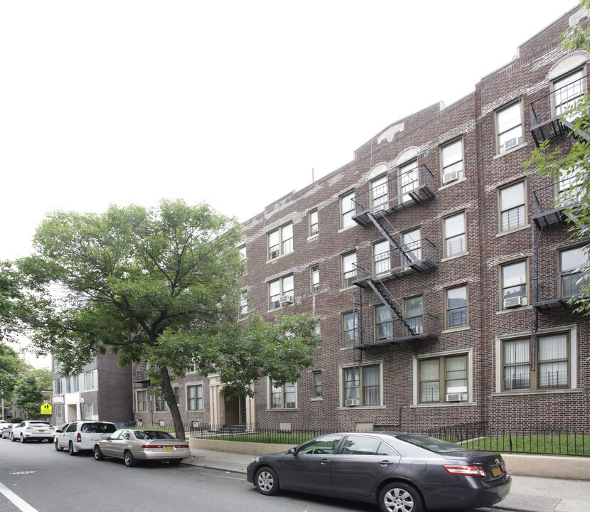 Maple Terrace in Brooklyn, NY - Building Photo