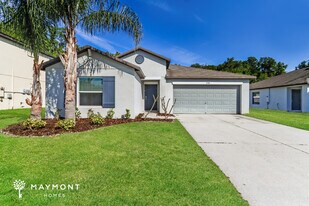 3149 Moulden Hollow Dr in Zephyrhills, FL - Building Photo
