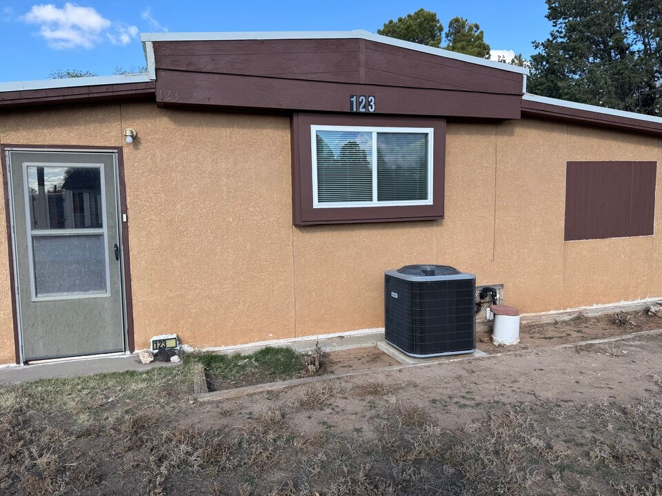 123 E Lime St in Portales, NM - Building Photo