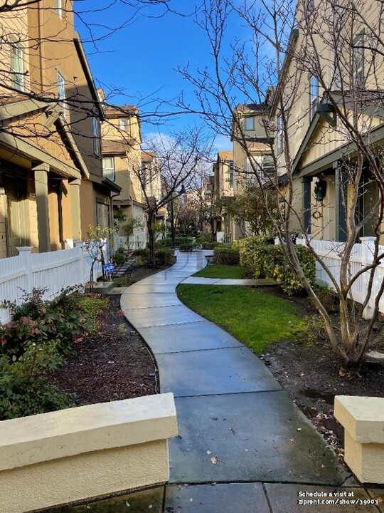 238 Peppermint Tree Terrace in Sunnyvale, CA - Building Photo