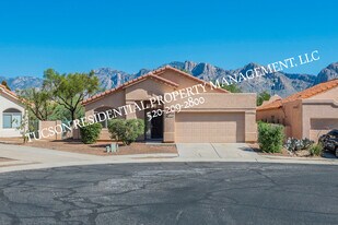 11174 N Sand Pointe Dr in Oro Valley, AZ - Building Photo