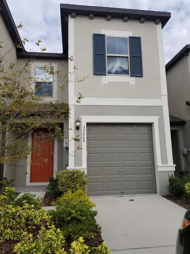 32069 Blue Passing Loop in Wesley Chapel, FL - Building Photo - Building Photo