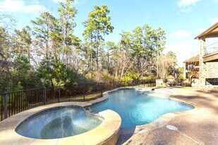 23211 Belted Kingfisher Trail in Spring, TX - Building Photo