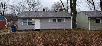 1043 Mount St in Gary, IN - Building Photo