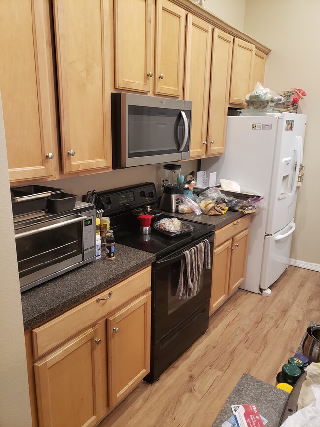 4363 Northern Dancer Way in Orlando, FL - Building Photo - Building Photo