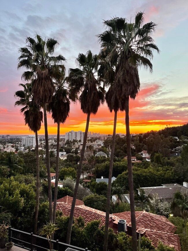 property at 2005 N Sycamore Ave