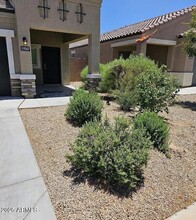 19347 N Costa Verdez Ave in Maricopa, AZ - Foto de edificio - Building Photo