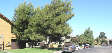 Cherry Lane in Manteca, CA - Foto de edificio - Building Photo