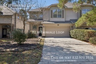 82 W Twinvale Loop in The Woodlands, TX - Building Photo