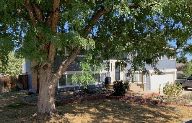 14373 W 3rd Ave in Golden, CO - Building Photo - Building Photo