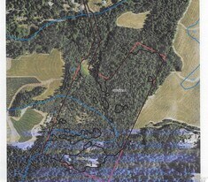 440 Cold Springs Rd in Angwin, CA - Building Photo