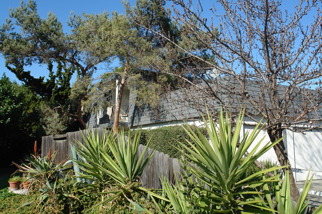 1137 Oakmont Dr in San Jose, CA - Foto de edificio - Building Photo