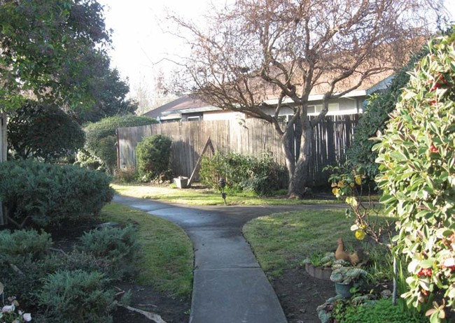 The Mayette Apartments in Santa Rosa, CA - Foto de edificio - Building Photo