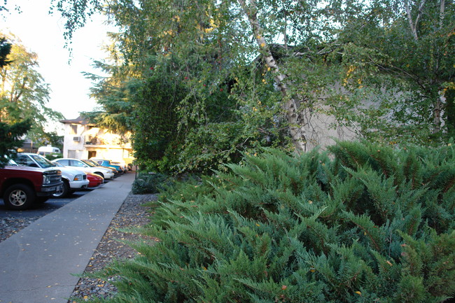 1145 W 2nd St in Chico, CA - Building Photo - Building Photo