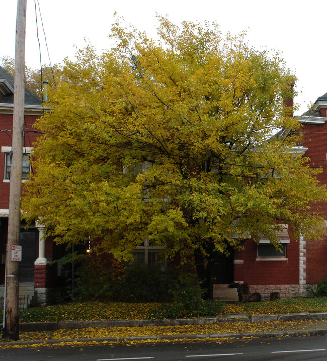 1035 S 2nd St in Louisville, KY - Building Photo - Building Photo