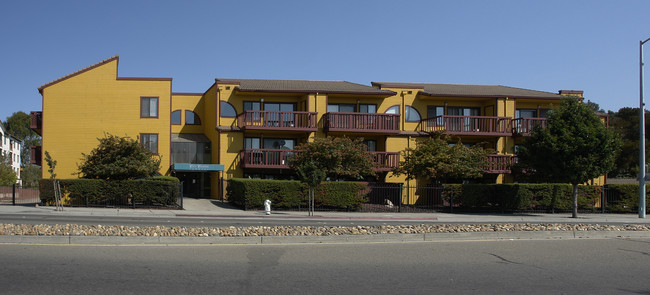 City Center Commons North in San Pablo, CA - Building Photo - Building Photo