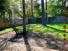 67 Blackstar Pl in Spring, TX - Building Photo