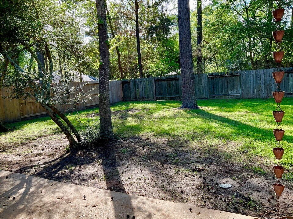 67 Blackstar Pl in Spring, TX - Building Photo