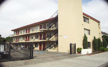 StudioOakland Apartments in Oakland, CA - Building Photo - Building Photo