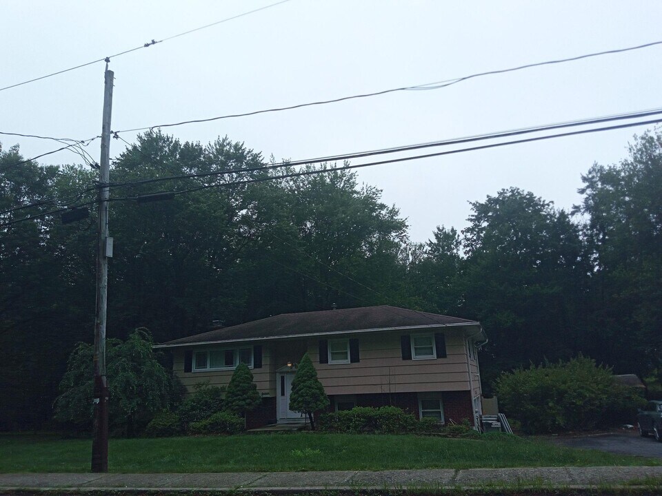 225 Hempstead Rd in Spring Valley, NY - Building Photo
