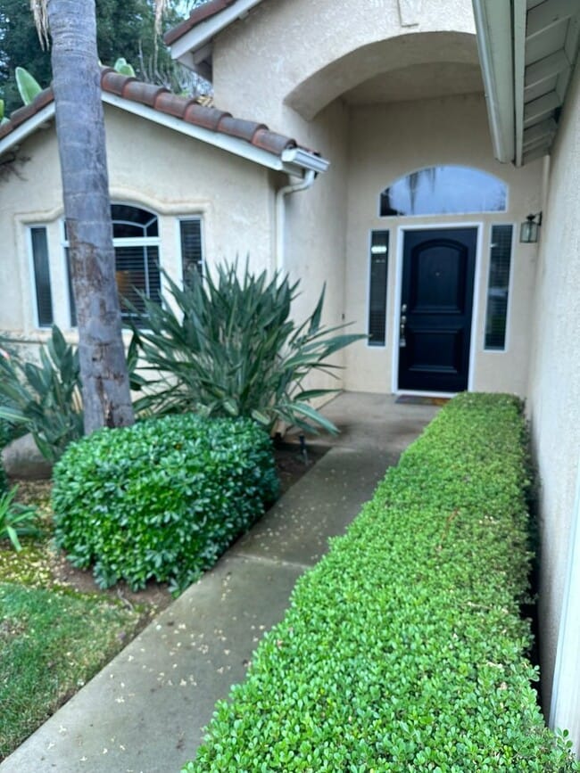 property at 3649 W Mesa Ave