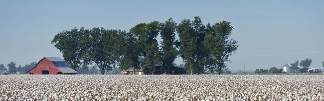 Casas Alquiler en Jonesboro, AR