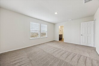 379 Papaya Dr in Buda, TX - Building Photo - Building Photo