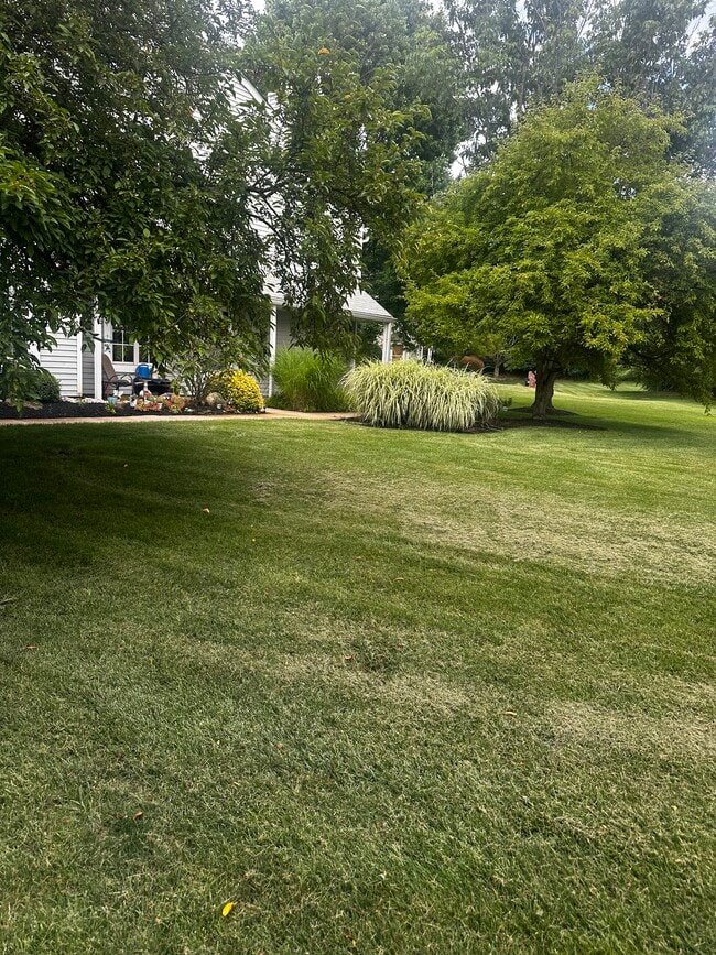 property at 366A Delancey Pl