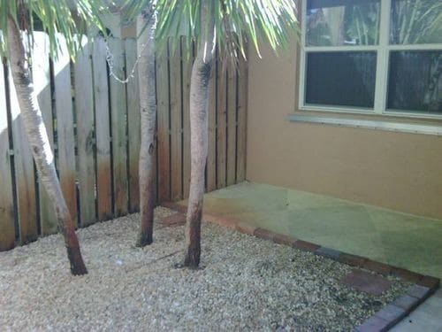 758 NE 13th Ct in Fort Lauderdale, FL - Building Photo