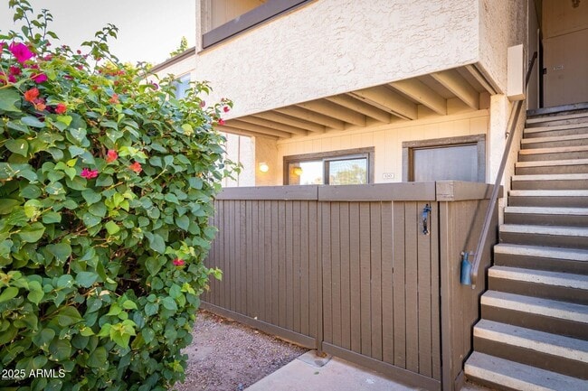2938 N 61st Pl in Scottsdale, AZ - Building Photo - Building Photo