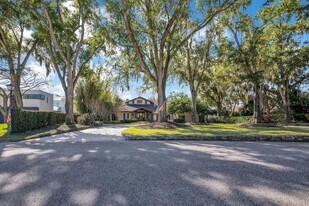 10577 Down Lakeview Cir in Windermere, FL - Building Photo