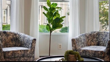 21 Highgate St in Boston, MA - Building Photo - Building Photo