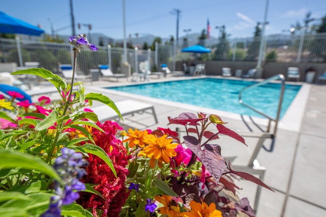 Hills at Renaissance