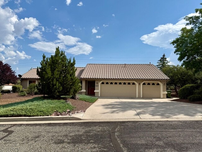 property at 1003 Panicum Dr