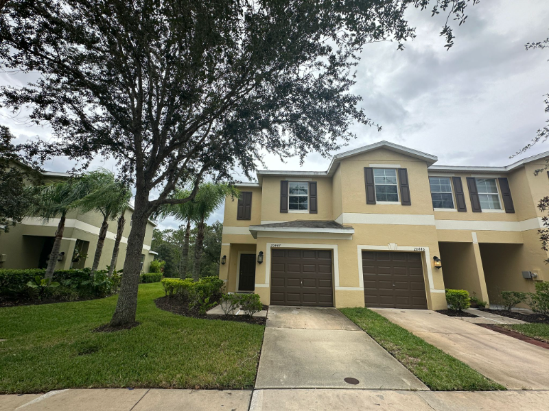 20447 Berrywood Ln in Tampa, FL - Building Photo