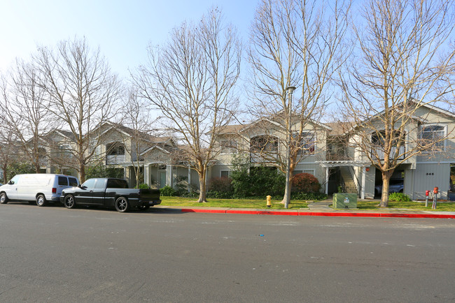 Baypoint Apartments in San Rafael, CA - Building Photo - Building Photo