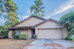 23027 Banquo Dr in Spring, TX - Building Photo