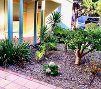 Curlew Apartments in San Diego, CA - Foto de edificio - Building Photo