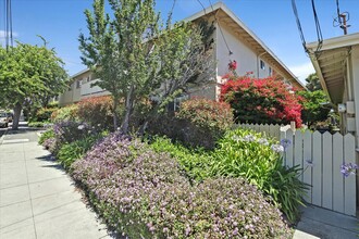 230 Felix St in Santa Cruz, CA - Foto de edificio - Building Photo