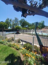 4819 La Rosa Dr in Oak Park, CA - Building Photo - Building Photo